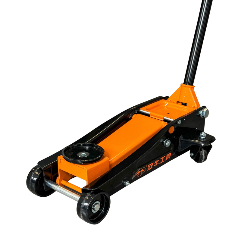 Без названия (800 x 800 пикс.)